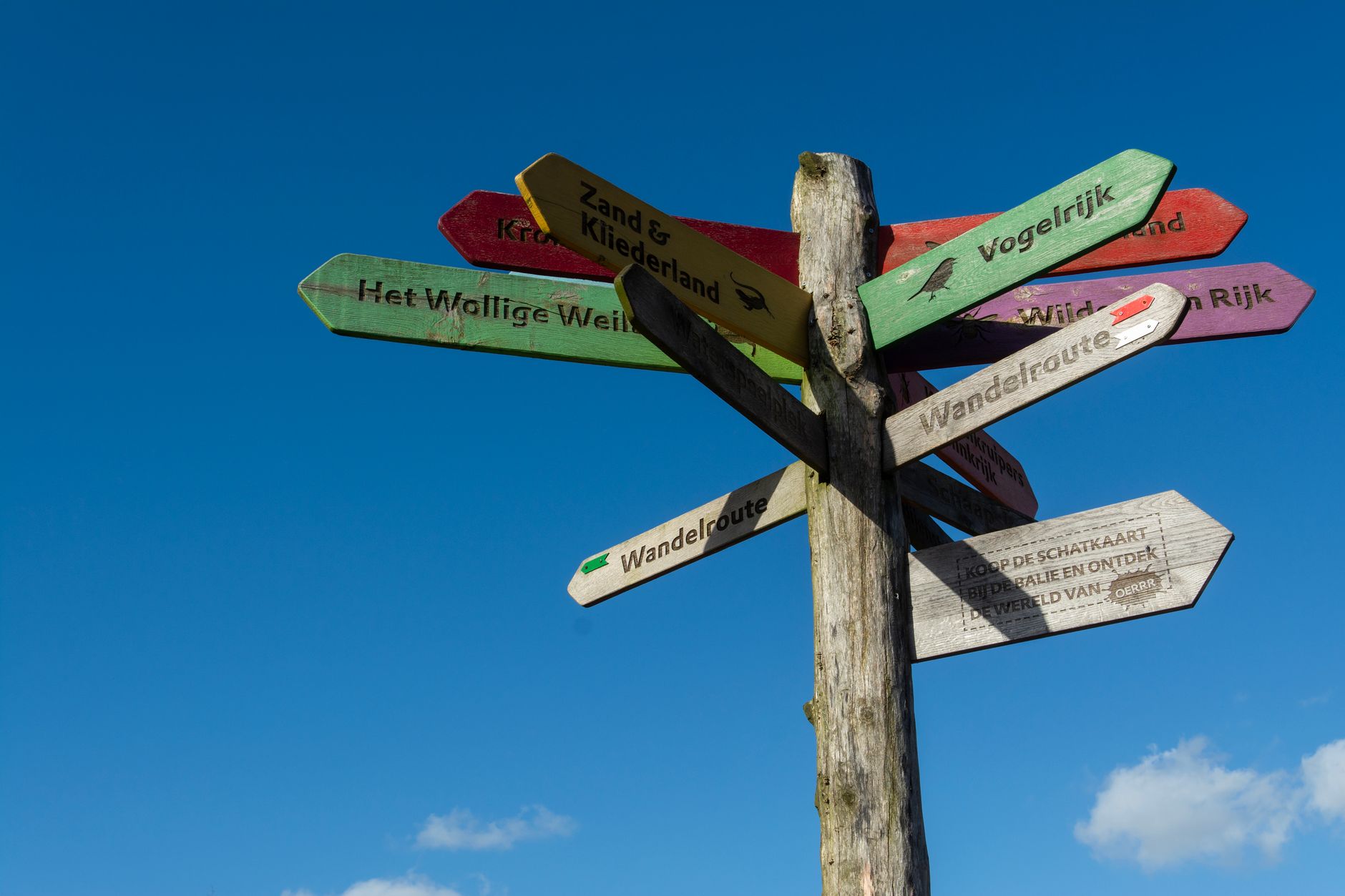Premiers pas : gestion centralisée WordPress pour agences