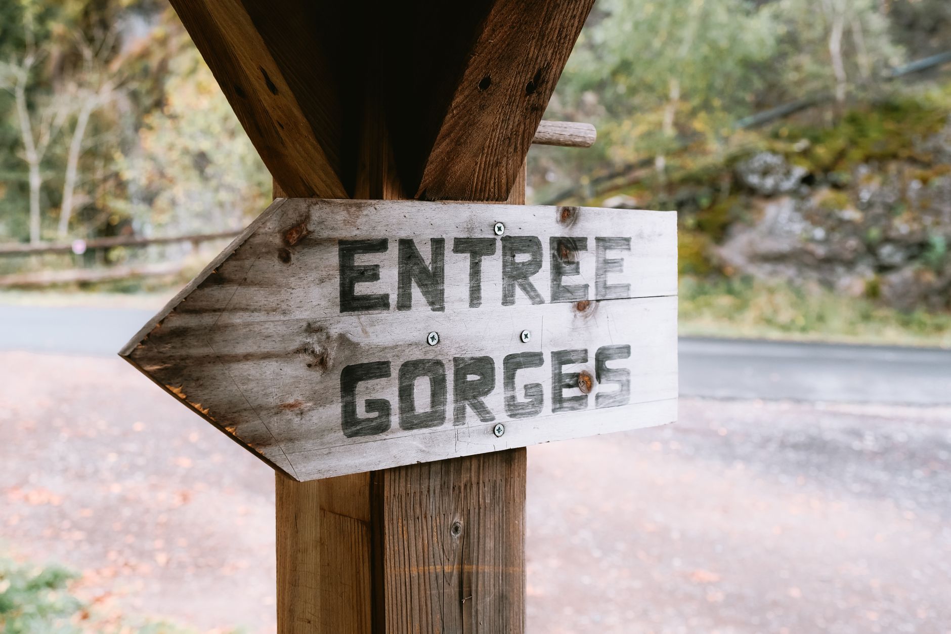 Sauvegarde WordPress avant mise à jour : le guide pratique pour agences multi-sites